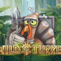 Wild Turkey